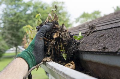 Commercial Gutter Cleaning in Littleton, CO